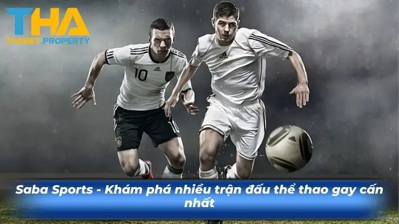 Saba Sports - Khám phá nhiều trận đấu thể thao gay cấn nhất